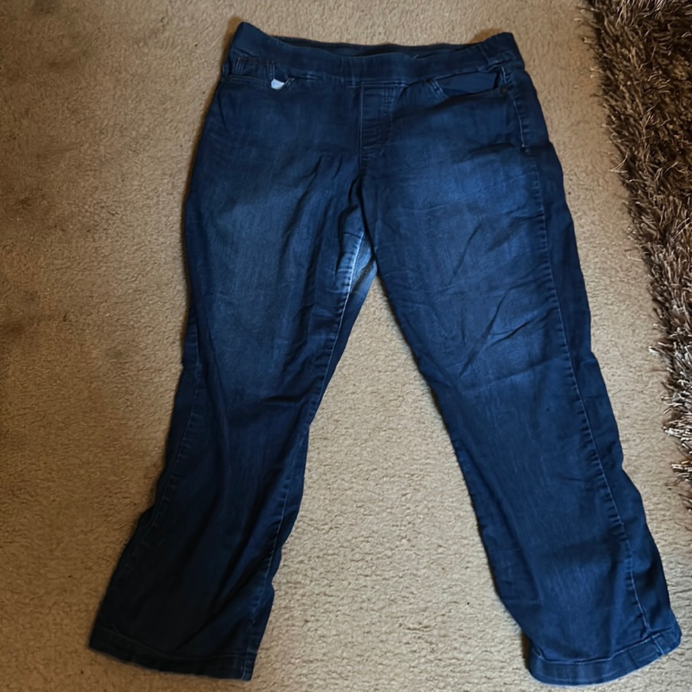 Gloria Vanderbilt Slimming Effect Pull-Up Jegging